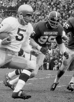 Bubba Smith chases Terry Hanratty